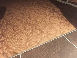 What neutralizes dog urine smell? The Carpet Smells Like Wet Dog And Stinky Feet Picture Of Glenwood Inn Suites Trail Tripadvisor