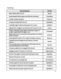 Organelle description function animal, plant or both 1. Middle School Biology Worksheet Cell Organelles By Educator Super Store