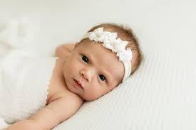 Dee Hoehn's Instagram, Twitter & Facebook