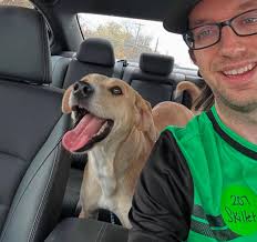 Lost 2-year-old high-energy dog in Parmer and Riata Trace area