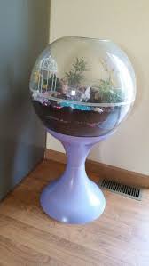 Old Terrarium Turned Into Fairy Garden Plastic Terrarium Terrarium Vintage Globe