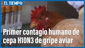 En un comunicado, la comisión nacional de sanidad asegura que hasta ahora nunca se había detectado un contagio a humanos de ese virus. Wlt4u13vdpgifm