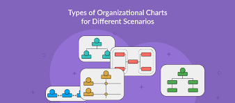 It's the plan that outlines who reports to whom and who is responsible for what. Types Of Organizational Charts Structure Types For Companies