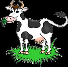 Image result for Cattle Calling in Desert Cows,Cattle, And Cattle Calls, Ready for What? Enough for the Charmed Game Over Snakes in the Grassï»¿.