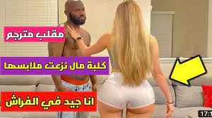 Gold digger Prank 6 | مقلب أنا جيد في الفراش 🍑🔥 كلاب المال 2021 - YouTube