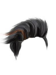 Top 50 Hair Png Download All New Cb Hair Style Png Zip File Free In 2020 Hair Png Photoshop Hair Photoshop Backgrounds