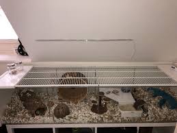 Hamster Cage Ikea Detolf Hamster House Hamster Cages Hamster Cage