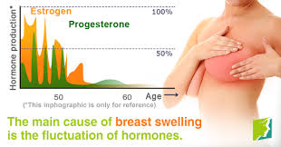 I pressed this button by accident. Why Are My Breasts Swollen Menopause Now