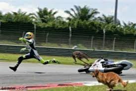 Maybe you would like to learn more about one of these? Terbaik Cari Arti Mimpi Dikejar Anjing