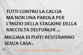 Immagini Divertenti Non C è Niente Di Speciale Ad Essere Normale Pin Di Tinacounseling Su Varie Citazioni Divertenti Battute Divertenti Pensieri Divertenti