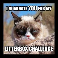 Challenge Cats Grumpy Cat Meme Grumpy Cat
