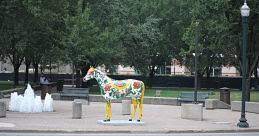 Check spelling or type a new query. Reasons Why Lexington Ky Is Known As The Horse Capital