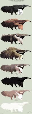 Ant eater icon in different style two colored vector. Giant Anteater Colours By 5019 On Deviantart