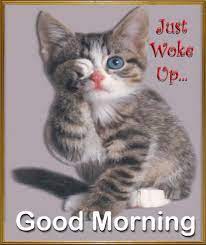 10 Of The Best Good Morning Gifs And Animations Funny Good Morning Messages Morning Quotes Funny Funny Good Morning Quotes