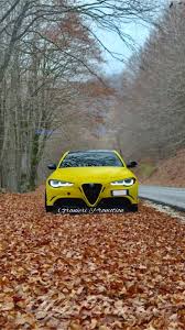 Image result for Giallo Faccia Tosta 2011 Alfa-Romeo