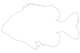 We offer a whole ton of them, so be sure to browse through the list to find. Bluegill Fish Outline Awesome Printable Template
