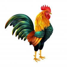 Weitere ideen zu schablonen zum ausdrucken, ausdrucken, ausmalbilder. Bilder Huhn Gratis Vektoren Fotos Und Psds