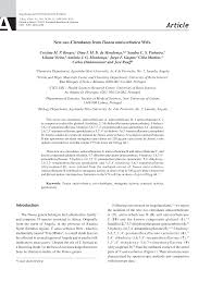 Image result for Tinnea antiscorbutica