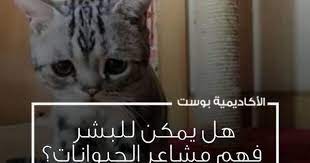 pin on photos from الأكاديمية بوست