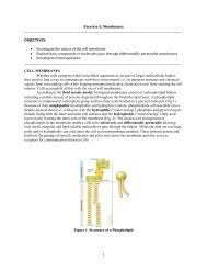 To prevent crenation or hemolysis, an animal cell must be placed in an isotonic solution such as. Exercise 3 Membranes Transport