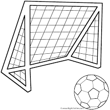 Brazil soccer ball with tropical flower in brazil color background. Soccer Ball With Soccer Net Coloring Page Sports