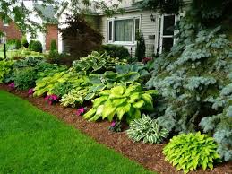 Hosta Garden Shade Garden Outdoor Gardens Backyard Landscaping