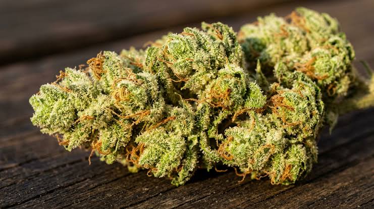 Macro view of resinous Trainwreck trichome coverage, AI generated