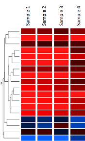 Image result for bioinformatics heatmap