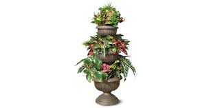 Tag @aldiplantlady in your plant photos to join the aldi plant club (apc) black thumbs welcome mn, zone 4b not aff. Pin On Flower Pots