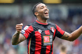 Max gradel profil), stranice momčadi (npr. Sunderland Eye Max Gradel Besoccer