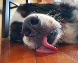 Video posted by Adri Eves 🧸 (@youradrieves)