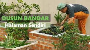 Definasi fertigasi adalah satu kaedah penanaman yang mana pemberian baja yang lengkap kepada tanaman diberikan dalam bentuk larutan dan disalurkan ke zon akar melalui sistem pengairan titis. Panduan Asas Budaya Dusun Bandar Dusun Bandar