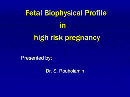 Image result for Biophysical Profile