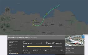 Seharusnya pesawat sudah tiba pada pukul 07.20 wib di pangkalpinang. Daftar Manifest Lengkap 181 Penumpang Lion Air Jt 610 Ini Nama Nama Mereka Merahputih