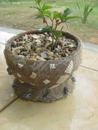 Cara buat pot bunga dari sabut kelapa. Pot Barbek Seindah Tanaman Hias Kompasiana Com