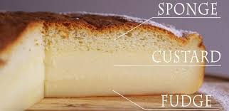 Image result for Two Layer Custard Cake