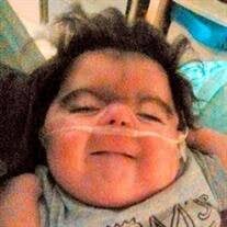 Dustin Brice Murley Obituary