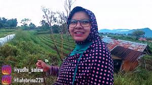 Entah keberadaan ilmu peninggalan leluhur ini apakah masih diteruskan oleh para keturunan/generasi penerusnya ataukah memang sudah hilang ditelan bumi karena kemajuan teknologi jaman. Ikan Sakti Sungai Janiah Anak Manusia Berubah Jadi Ikan Youtube