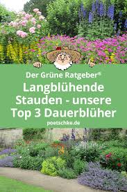 Von gärtner pötschke aus kaarst gibt es nun wieder einen aktuellen gartenkatalog der grüne gartentipp. Langbluhende Stauden Unsere Top 3 Dauerbluher Garten Bepflanzen Stauden Pflanzen