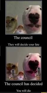 They Will Decide Your Fate The Council Has Decided You Will Die Ifunny Funny Memes Stupid Memes Stupid Funny Memes