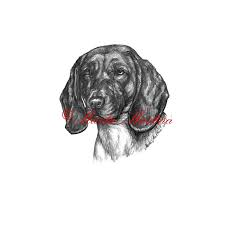 Image result for bavorský barvář