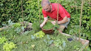 Wir stellen vor, wie sie richtig im garten mulchen, welche materialien sie zum mulchen einsetzen können und wann der beste zeitpunkt dafür ist. Mulchen Mit Rasenschnitt Und Rindenmulch So Funktioniert Es Ndr De Ratgeber Garten