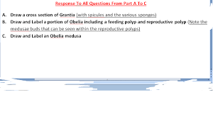 We hope you like the tutorial. Response To All Questions From Part A To C Draw A Chegg Com