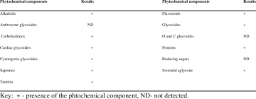 Image result for Monodora minor