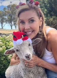 How's your house going