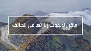 لماذا سميت مدينة الطائف بهذا الاسم. Ø£Ù…Ø§ÙƒÙ† Ù„Ø§ØªÙÙˆØª Ø²ÙŠØ§Ø±ØªÙ‡Ø§ ÙÙŠ Ø§Ù„Ø·Ø§Ø¦Ù Youtube
