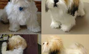 Pin On Hopping Wi H Li T