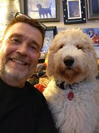 Golden Retriever growth: 21 inches, 60lbs at 7 months?