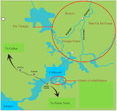 Image result for Scytopetalum pierreanum