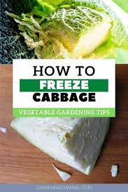 It's nice to see that i did it the same way as you! Can You Freeze A Cabbage Gardening Channel